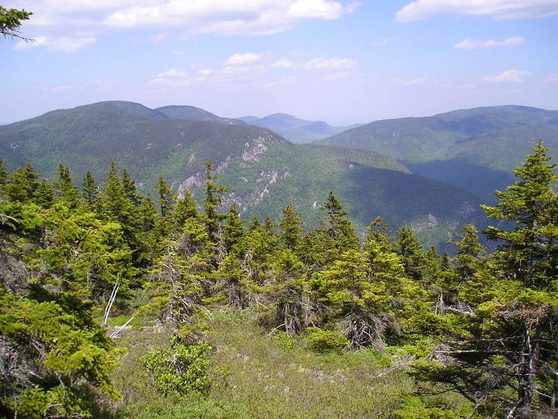 Meader (20).JPG - Just north of the trail intersection we found a great view looking into Evans Notch. I think that's Mt. Percy on the left.